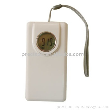 PS-919 Digital Display am/fm 2 band Radio